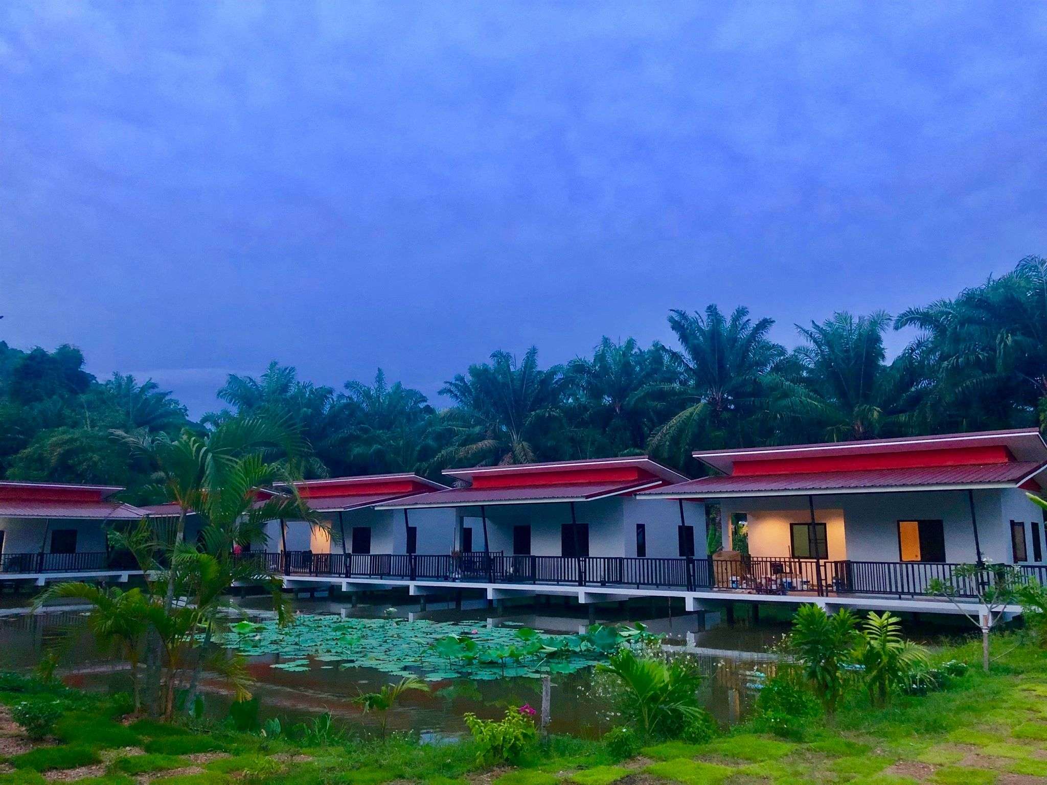 016CEF66-8478-4226-A864-041F79019866 (1)