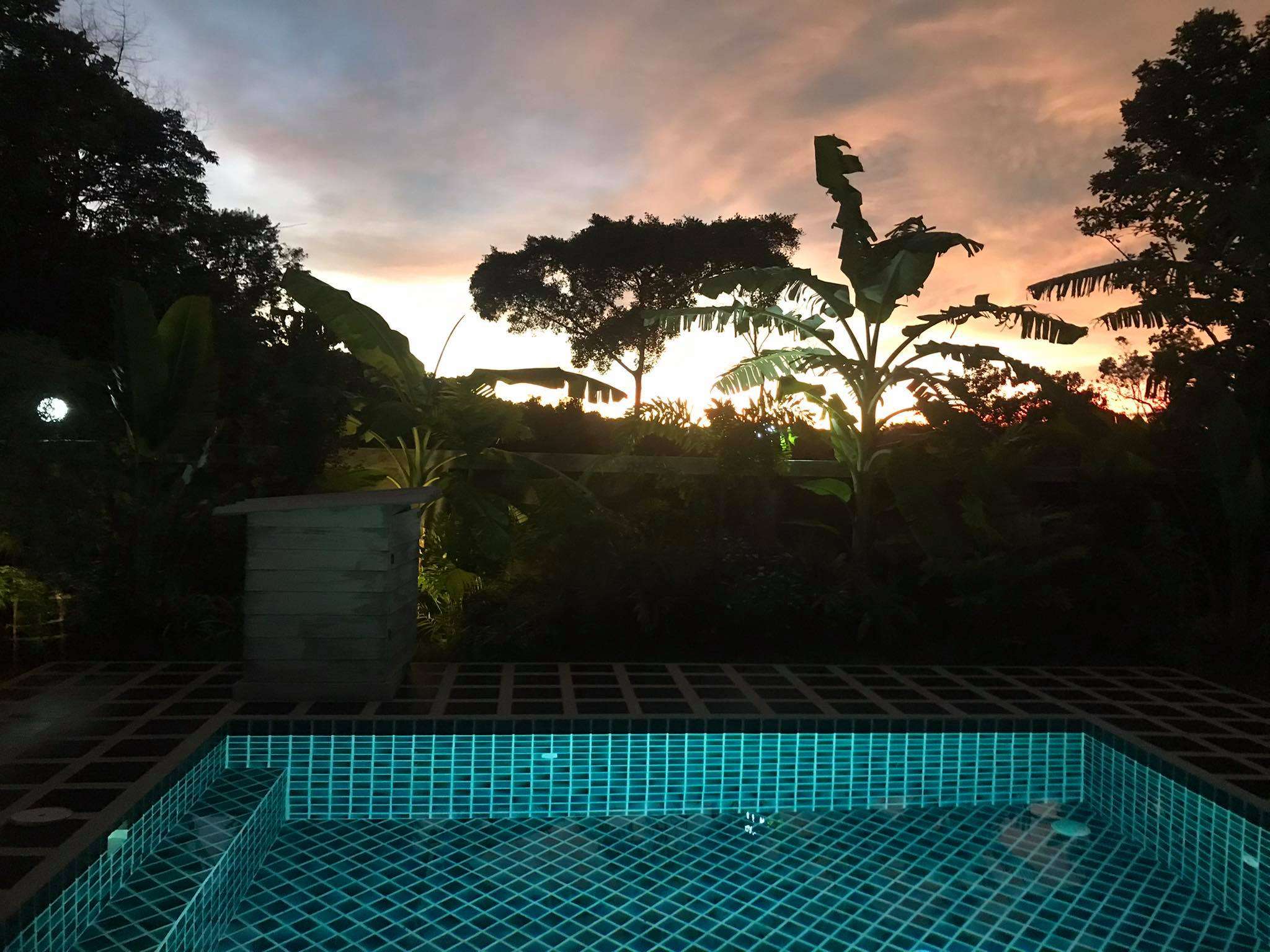 175137878_356449949140996_3155419164289711252_n