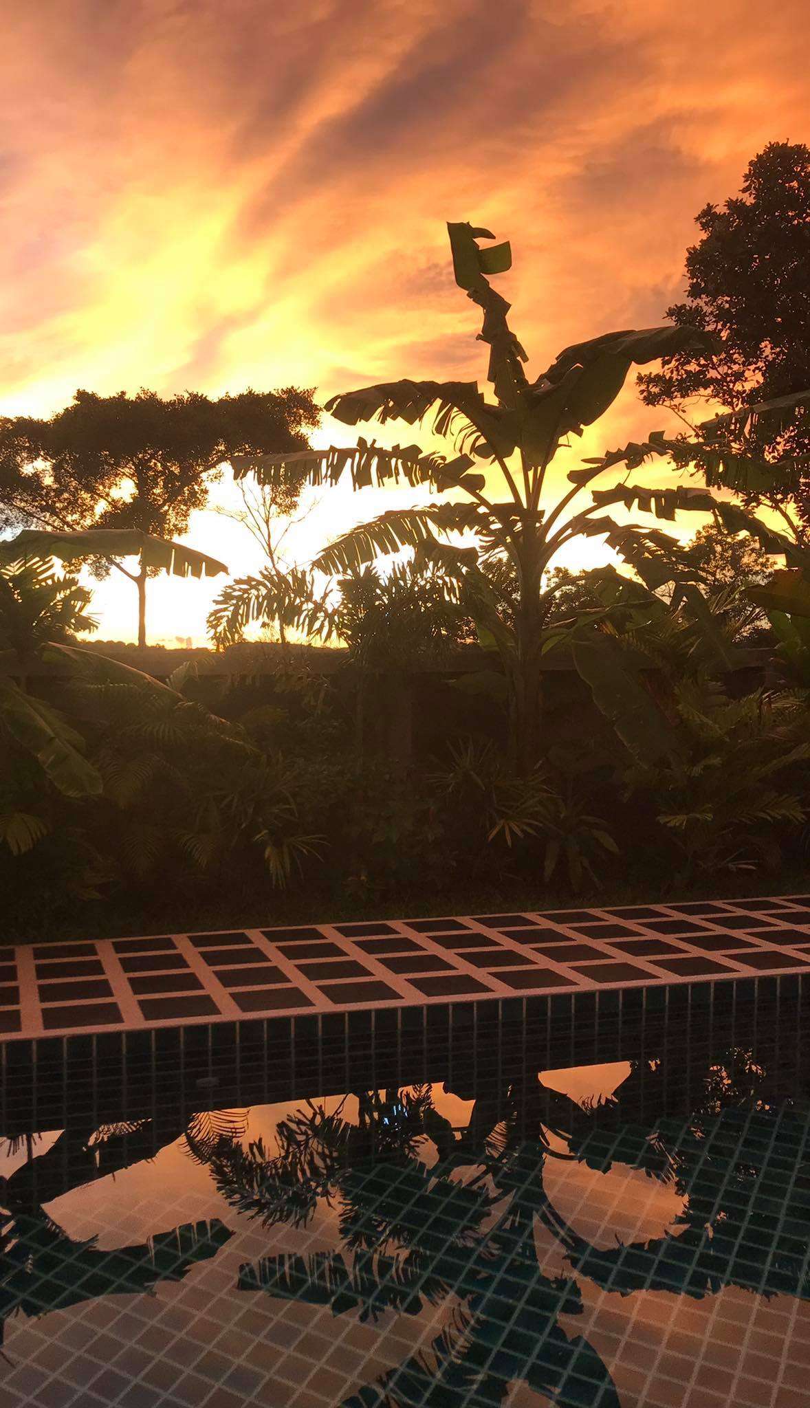 177010686_894813161364684_8221794533281511148_n