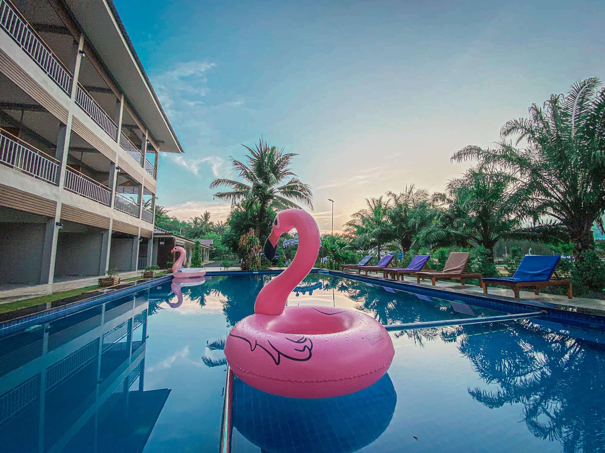 272765672_306716424741989_6393552602219519226_n